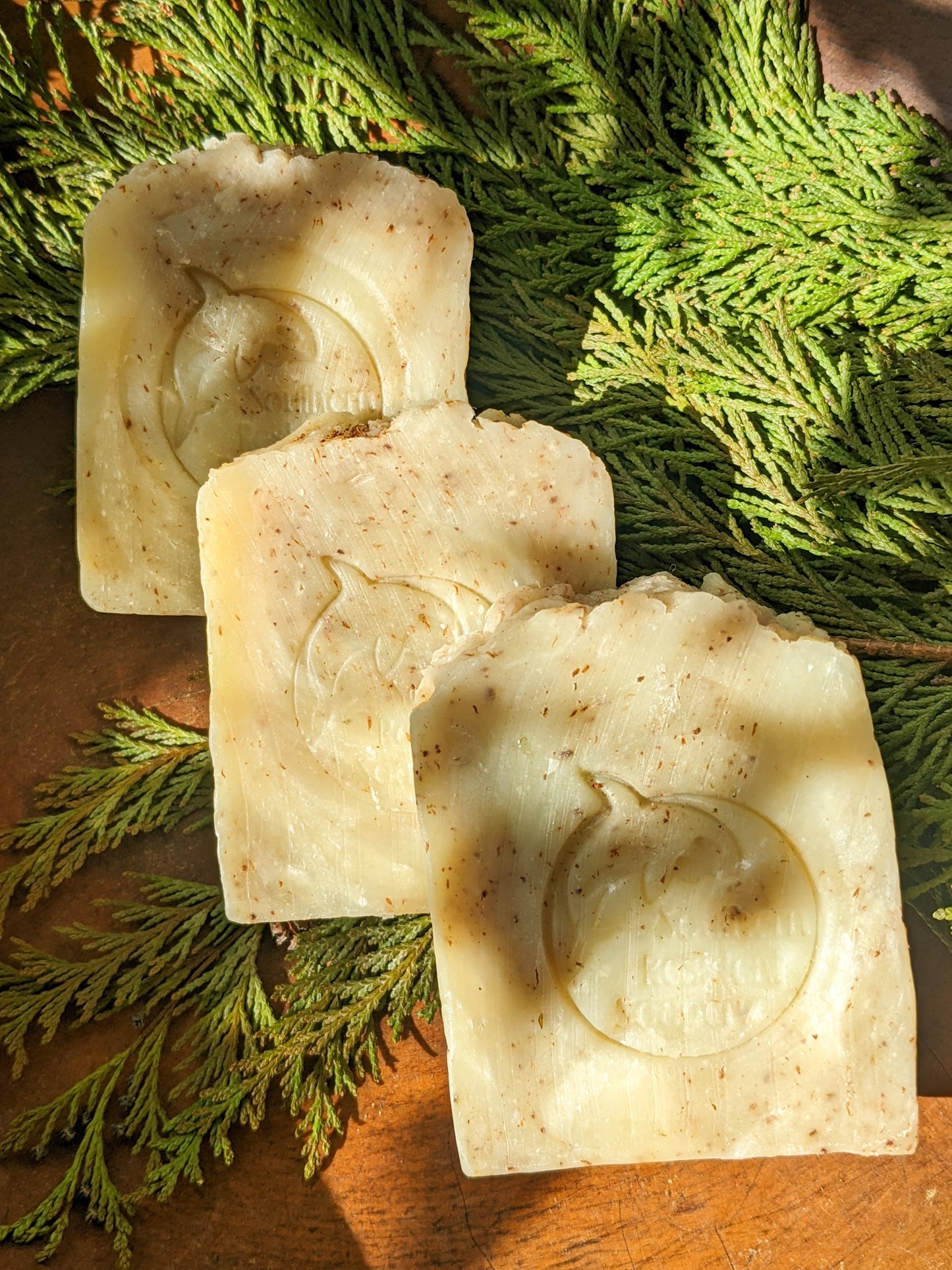 Cedar Bar - Handcrafted Botanical Soap | Shea Butter & Hemp Oil | Warm Cedar Scent