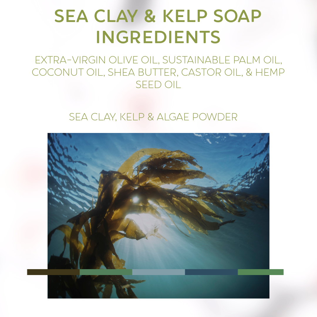 Sea Clay & Kelp Bar Soap | Moisturizing Hemp & Shea Butter | Salty, Fresh, and Floral Scent