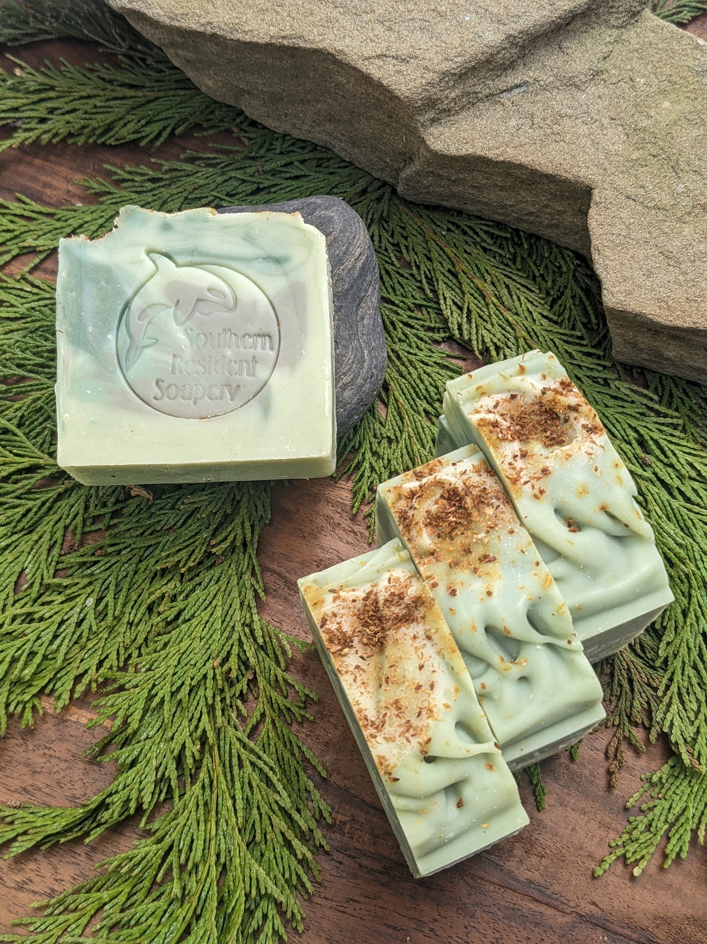 Cedar Bar - Handcrafted Botanical Soap | Shea Butter & Hemp Oil | Warm Cedar Scent