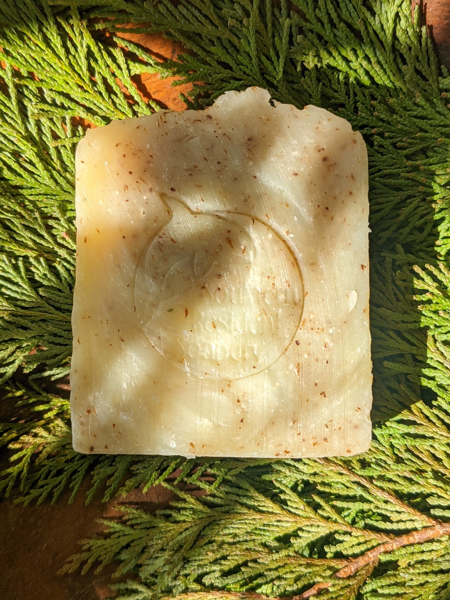 Cedar Bar - Handcrafted Botanical Soap | Shea Butter & Hemp Oil | Warm Cedar Scent