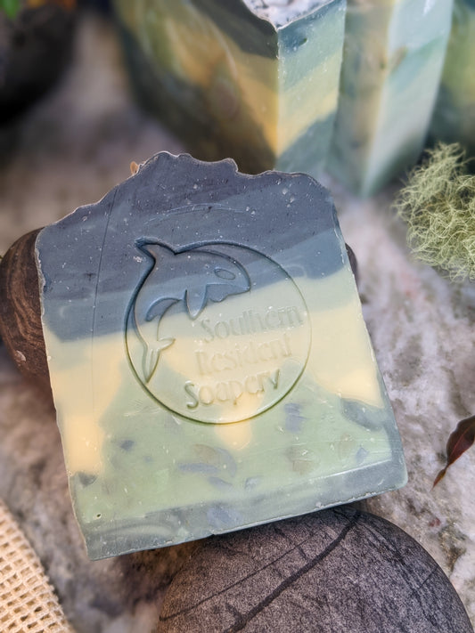 Evergreen Bar - Handcrafted Botanical Soap | Shea Butter & Hemp Oil | Deep Wet Woodsy Scent